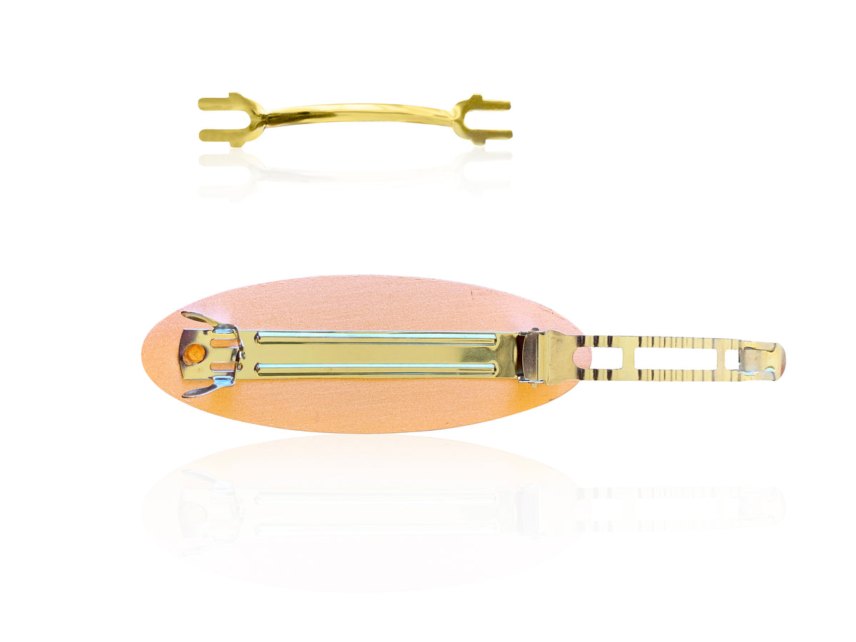 Southwestern turtle design hair clip